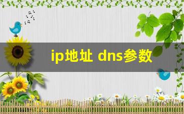 ip地址 dns参数设置_如何修改dns地址